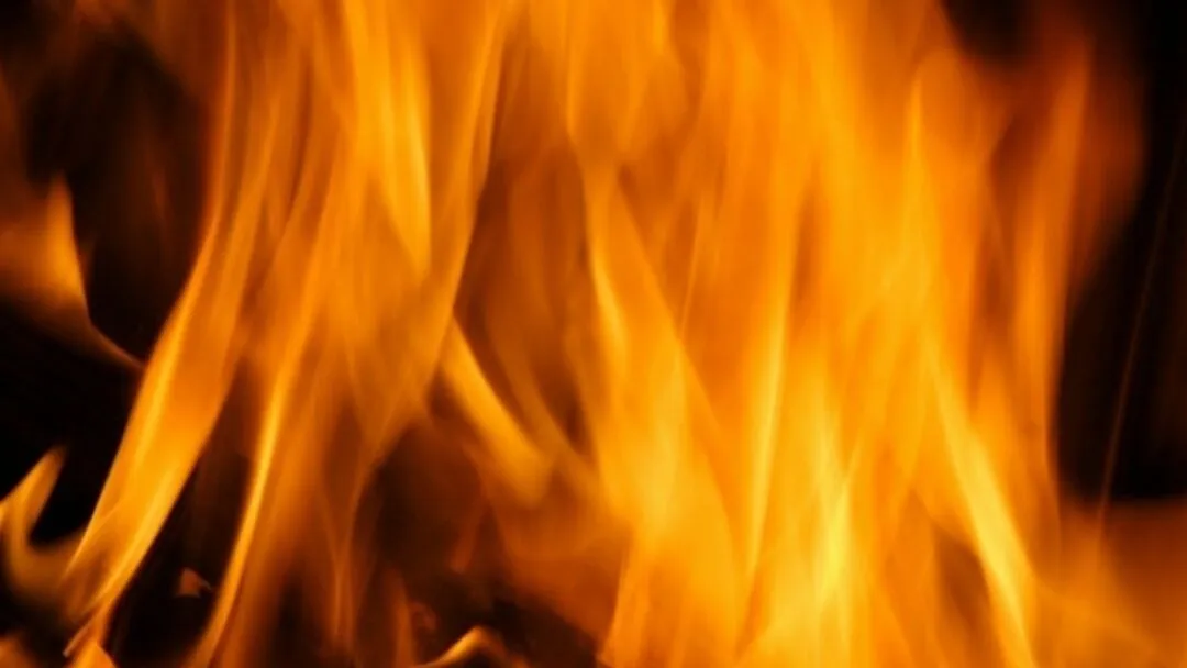 Flame Retardants: A Threat to Our Children‘s Development?