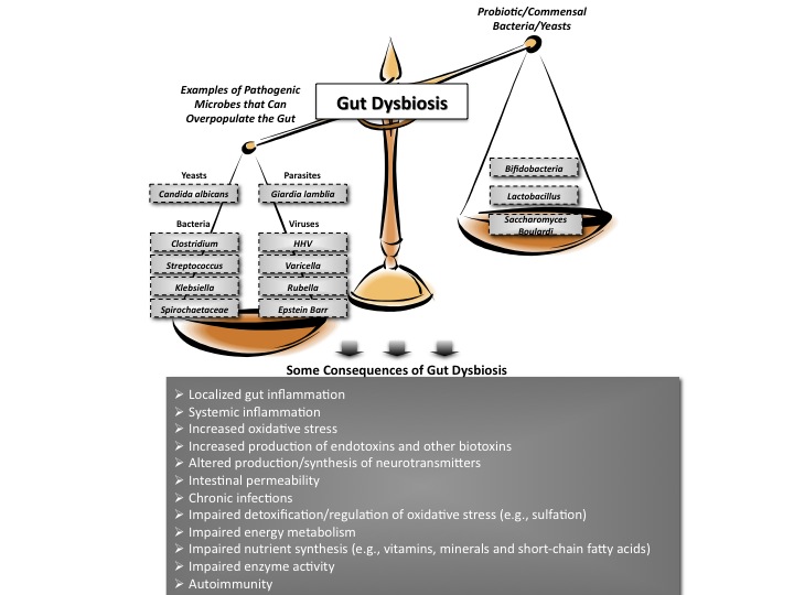 Gut Dysbiosis and Consequences