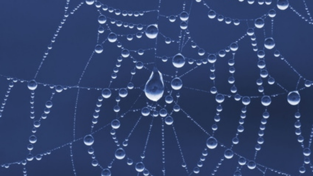 Nutrient Therapy for Autism Nutrient Therapy for Autism