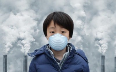 Environmental Toxicity