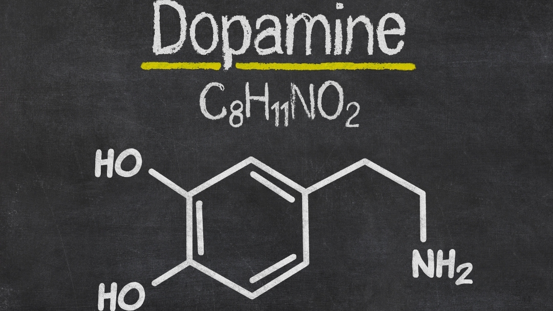 catecholamines