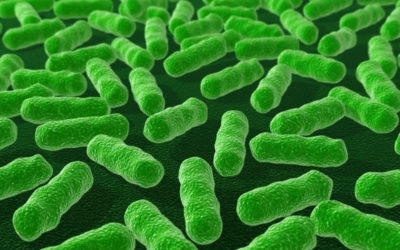 Gut Dysbiosis