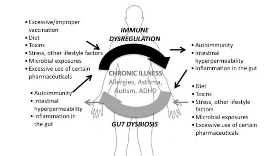 Autoimmunity and Autism