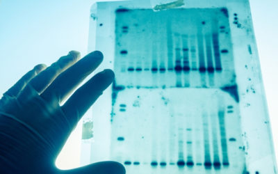 Common Genetic Variations