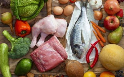 Paleo/Primal Diet Main Info Page