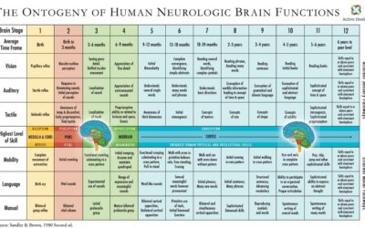 How a Child’s Brain Develops