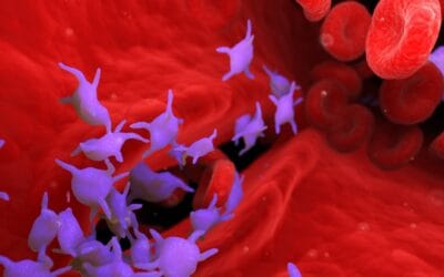Platelet Therapies for Autism, PANS/PANDAS and Autoimmune Conditions