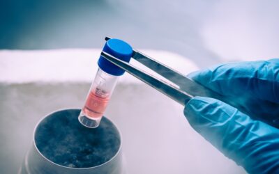 Is Stem Cell Therapy Appropriate for Autism?