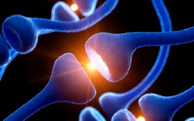 How Diet, Neurotransmitters, and the Microbiome Shape Mood, Cognition, Behavior and Other Bodily Functions
