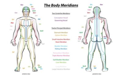 Electrodermal Screening (EAV – ElectroAcupuncture According to Voll)